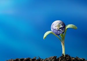 Growing globe Organic Program