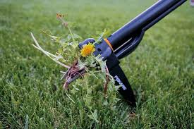 Weed Remover Tool